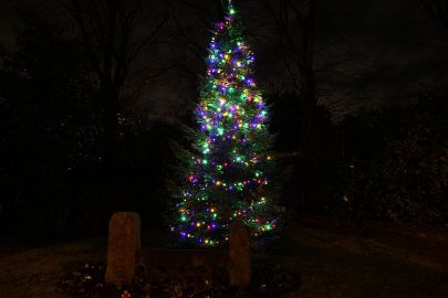 1_Christmas-Tree-2021